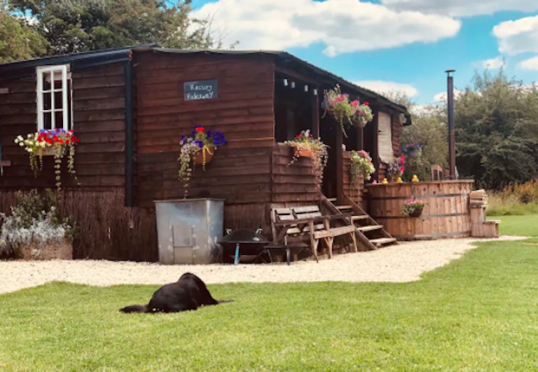 21 Of The Best DogFriendly Hotels and Airbnbs In The UK